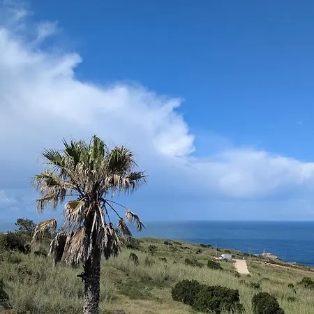 Ocean View In 나자레